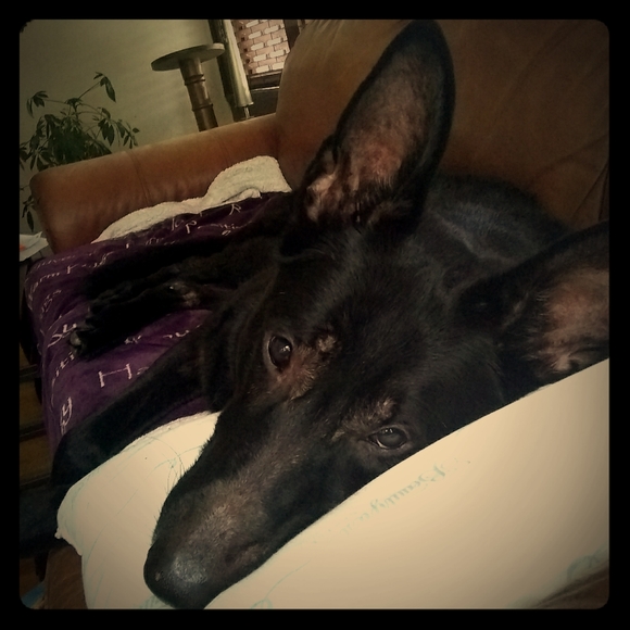 Meet your Posher, Mary - Picture 1 of 1